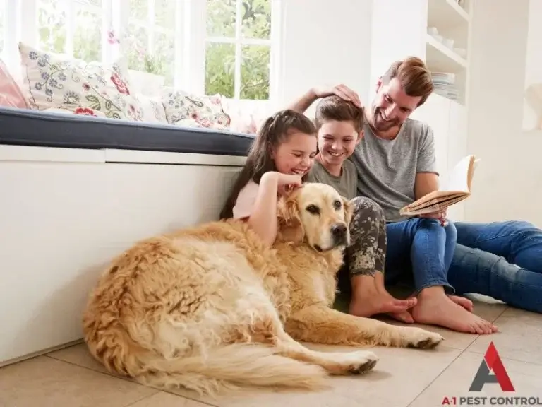 Pet-friendly pest control keeps a mom, dad, their daughter, and golden retriever safe and happy as pictured here.