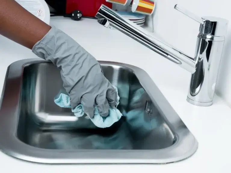 A woman scrubbing the skink. This image is for the blog titled Kitchen Pest Control Tips