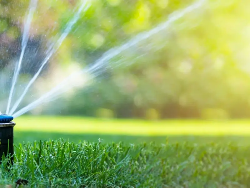 A yard with a sprinkler system. 