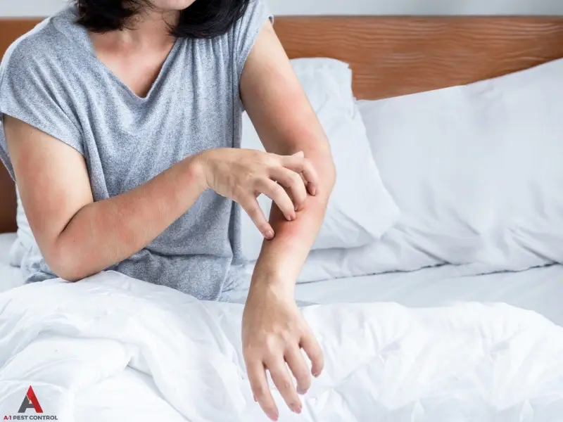 Woman scratching arm for bed bug control in Huntersville NC