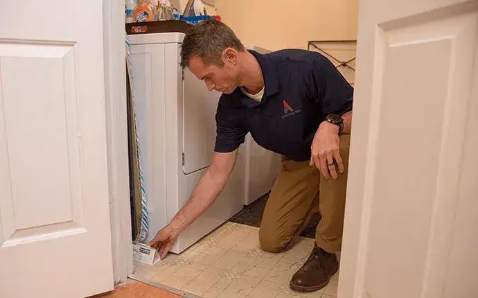 north carolina residential rodent control