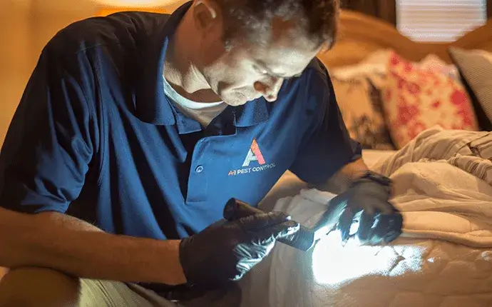 bed bug treatment boone nc