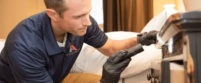 blowing rock commercial bed bug control