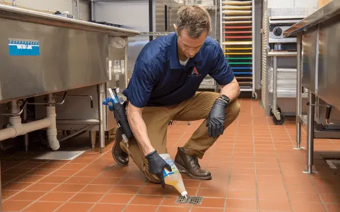 pest prevention in mooresville nc