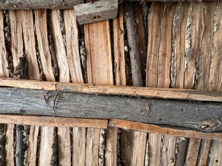 Termite damage in NC